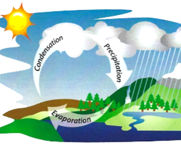 Hydologic Cycle