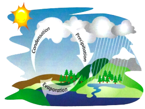 Hydrologic Cycle